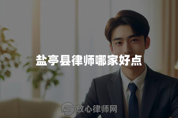 盐亭县律师哪家好点