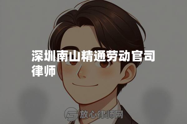 深圳南山精通劳动官司律师