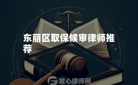 东丽区取保候审律师推荐