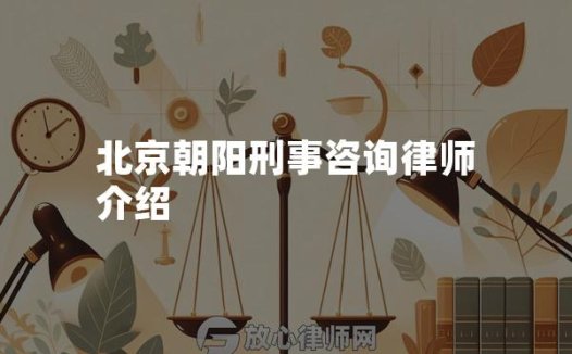 北京朝阳刑事咨询律师介绍